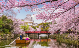 Nhật Bản mùa hoa anh đào